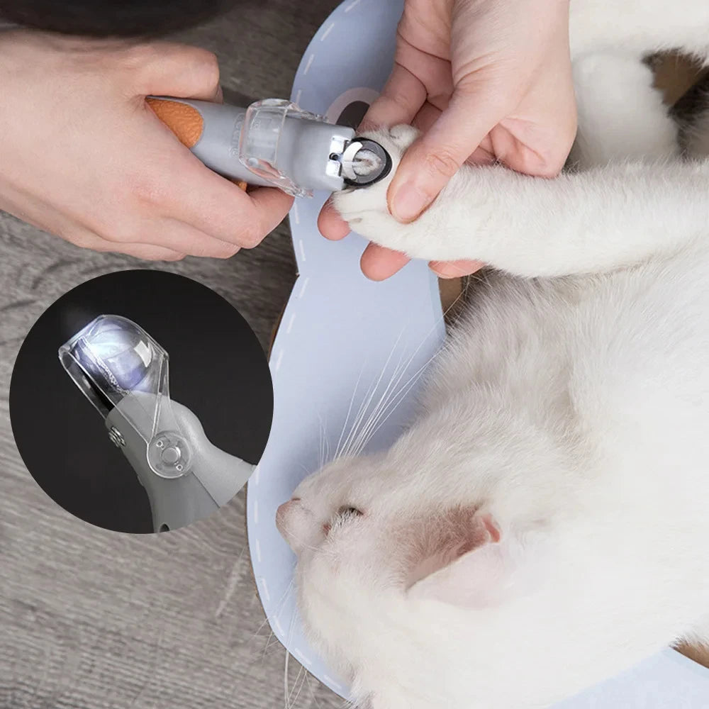 Professional Pet Nail Clipper Scissors With LED Light Cat Dog Nail Clippers Tool Scissors Nail Toe claw Cutter Scissors Pet Supplies