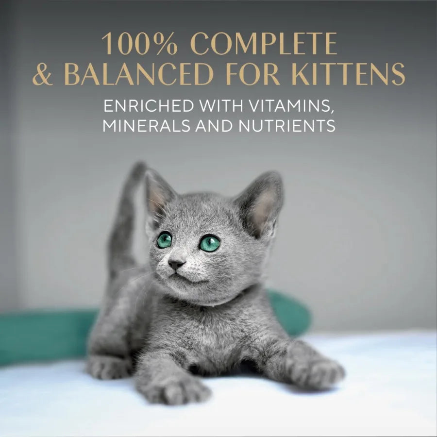 Perfect Portions Kitten Variety Flavors Pate Wet Cat Food, 2.6 oz Twin-Pack Trays 24 Pack