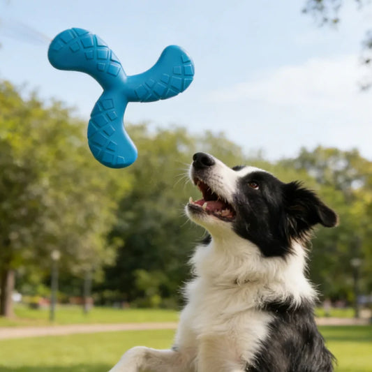 Dogs Eva Boomerang Flying Disc Play Tooth Chew Toy Indestructible Safe Large Dog Tough Toys Resistant Pet Supplies Water Toys